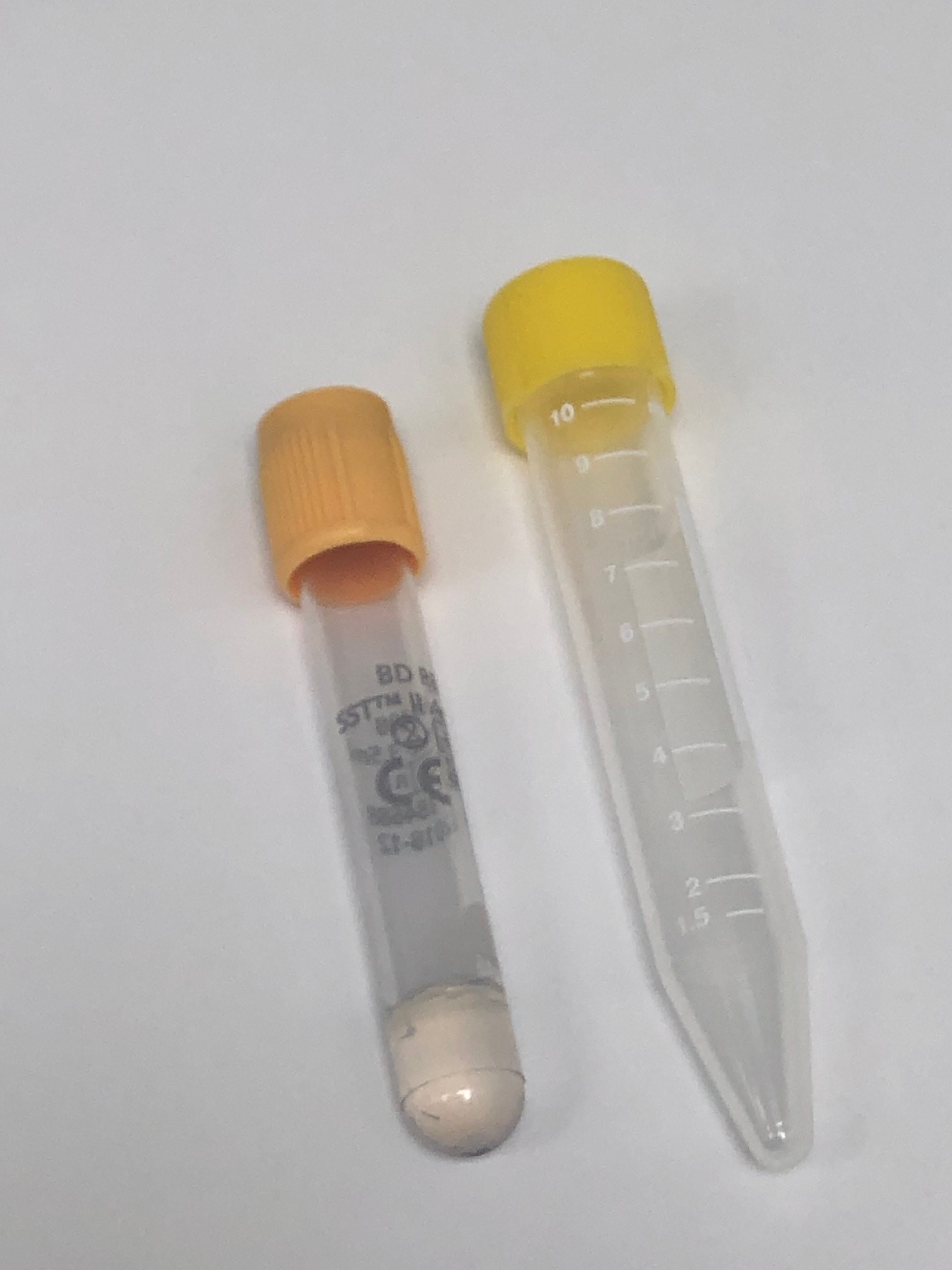 Borrelia serologi